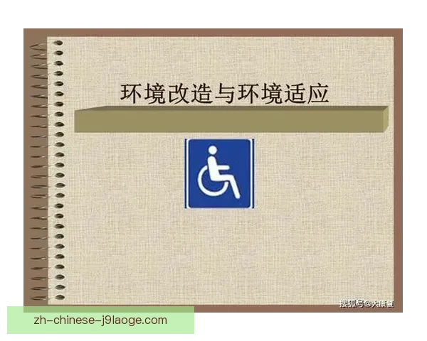 女足球员康复治疗环境优化与运动损伤恢复策略研究